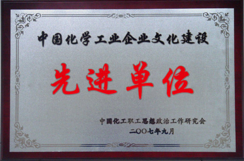 中国化学工业乐鱼平台建设先进单位